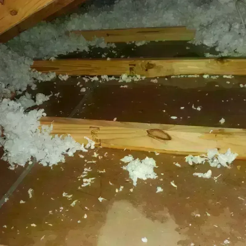 Attic Water Damage in Pryor, OK