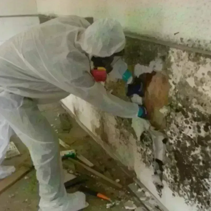 Mold Remediation and Removal in Pryor, OK