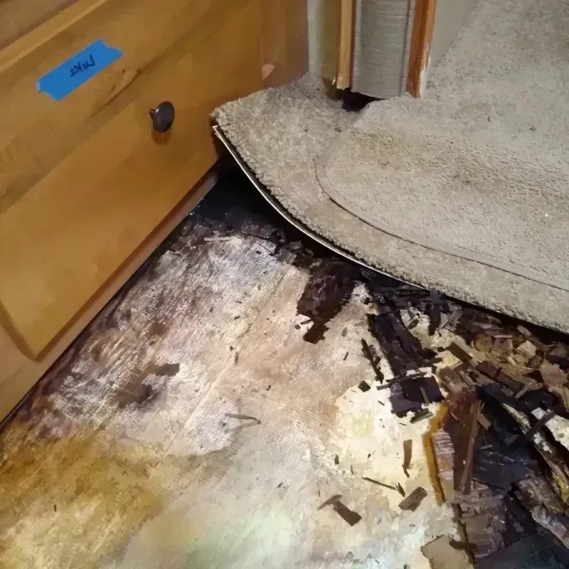 Wood Floor Water Damage in Pryor, OK